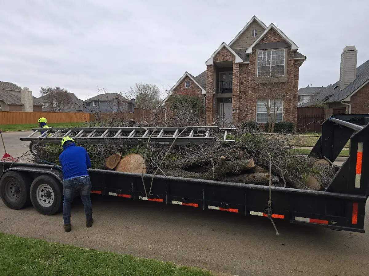 Expert Crown Reduction with proper safety equipment in Arkansas City